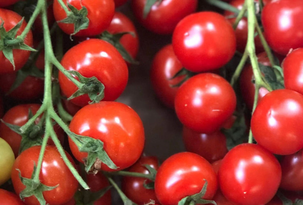 Gardener's Delight: A Solution to the Tomato Shortage