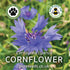 Cornflower Seeds (Centaurea cyanus)