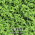 Cress Seeds