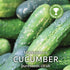 Cucumber Marketmore Seeds