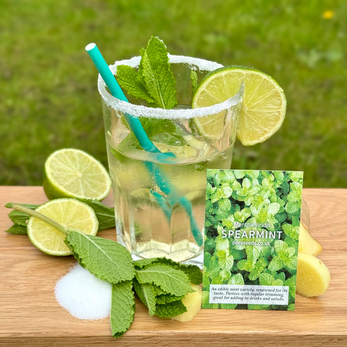 Spearmint Seeds (Mint)