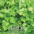 Parsley Flat Leaved Herb Seeds