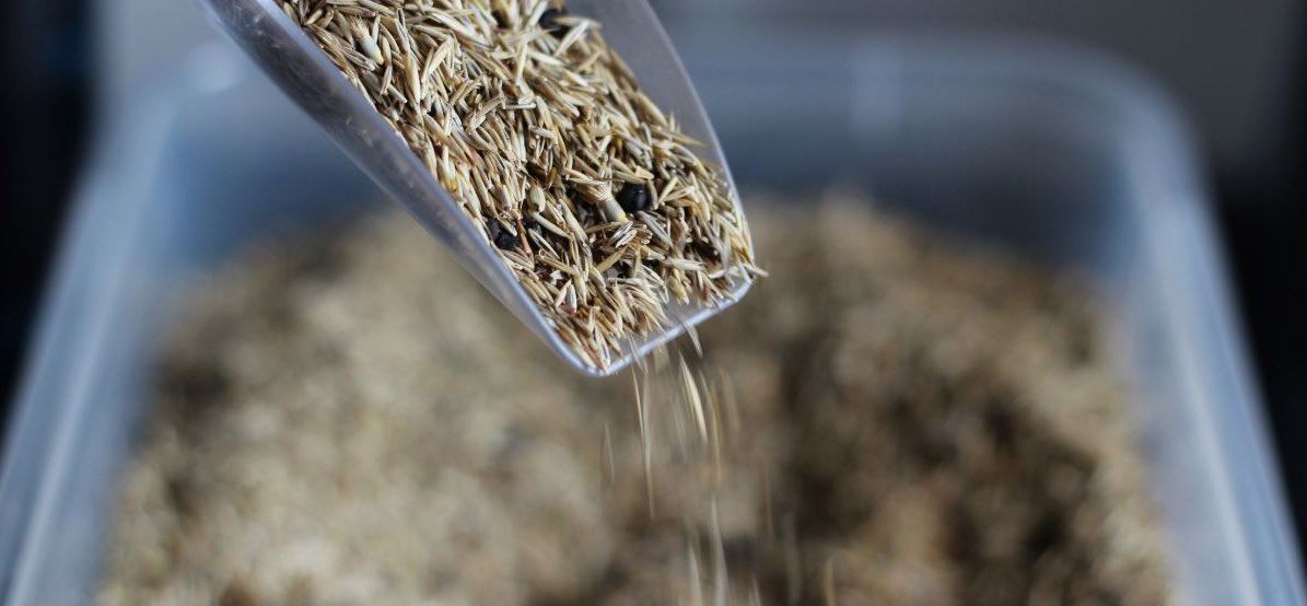 Wildflower Seeds falling from a Scoop
