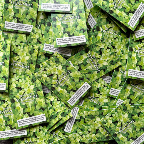 Spearmint Seeds (Mint)