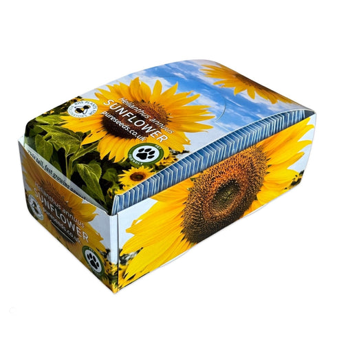 Sunflower Seeds (Bulk Wholesale)
