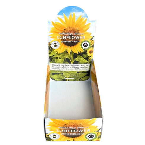 Sunflower Seeds (Bulk Wholesale)