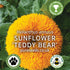 Sunflower Teddy Bear Seeds