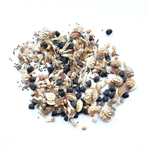 Wildflower Meadow Seed Mix - Cornfield Annuals