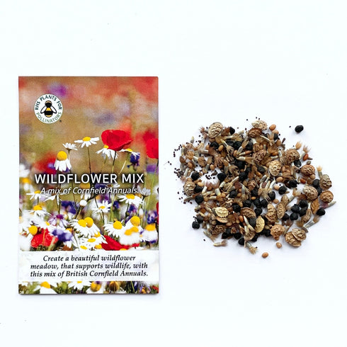 Wildflower Meadow Seed Mix - Cornfield Annuals