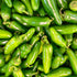Chilli Pepper Jalapeno Seeds