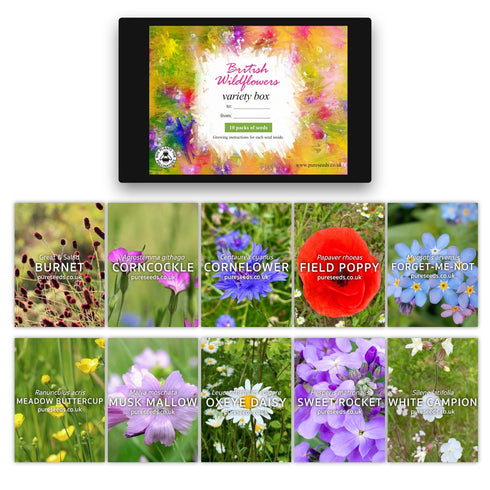 Wildflowers Xmas Gift Box Set. Unique Gift Idea.