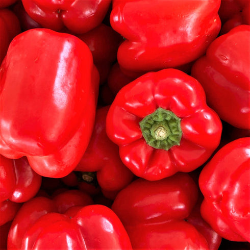 Sweet Pepper Californian Wonder Seeds