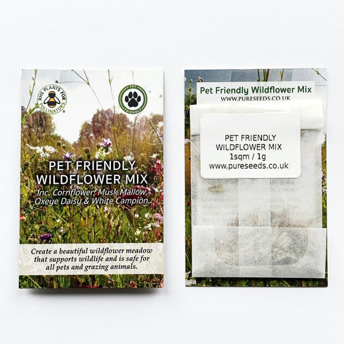 Wildflower Seed Mix : Pet Friendly & Grazing Safe