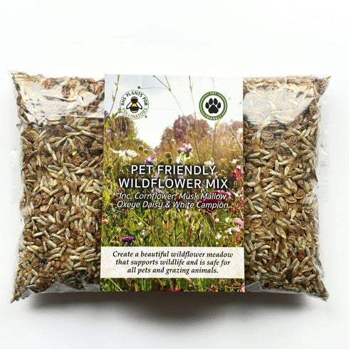 Wildflower Seed Mix : Pet Friendly & Grazing Safe