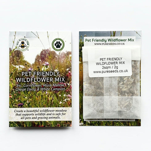 Wildflower Seed Mix : Pet Friendly & Grazing Safe