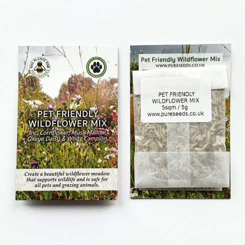 Wildflower Seed Mix : Pet Friendly & Grazing Safe