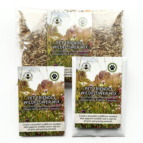 Wildflower Seed Mix : Pet Friendly & Grazing Safe